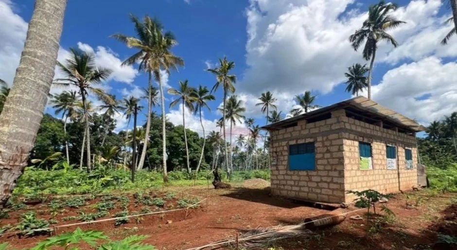 Landwirtschaftliches Grundstück 39343 m2 in Tansania