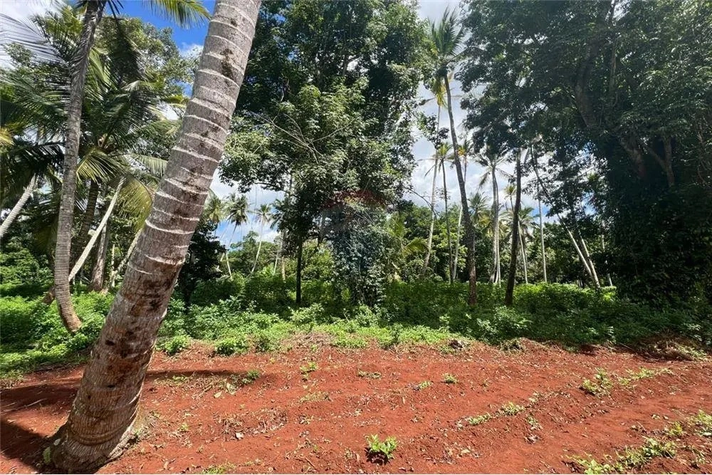 Landwirtschaftliches Grundstück 39343 m2 in Tansania