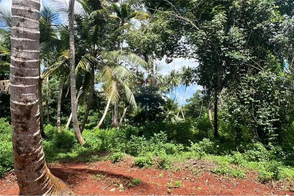 Landwirtschaftliches Grundstück 39343 m2 in Tansania