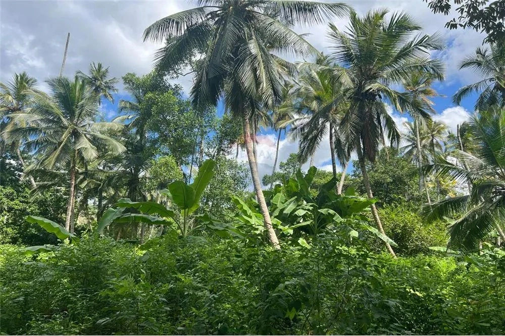 Landwirtschaftliches Grundstück 39343 m2 in Tansania