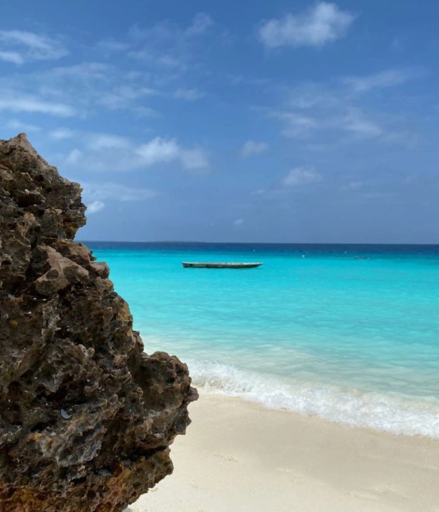 Cozy plot of 600 m2 for the construction of a house in Tanzania