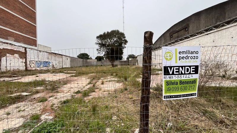 乌拉圭蒙得维的亚 1183 m2 土地