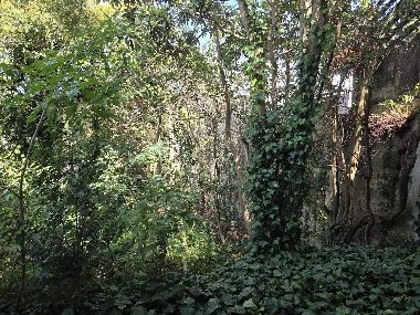 乌拉圭蒙得维的亚 543 m² 土地