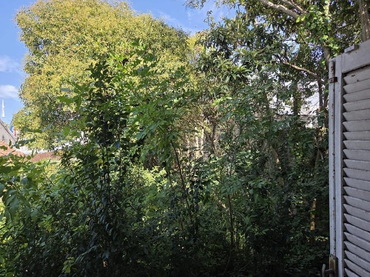 乌拉圭蒙得维的亚 543 m² 土地