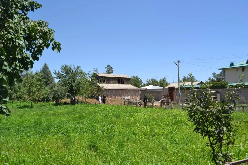 撒马尔罕(乌兹别克斯坦)1700 m² 地块