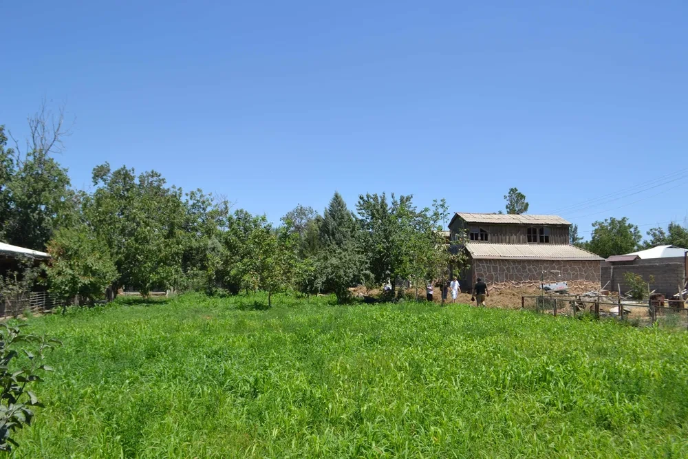 撒马尔罕(乌兹别克斯坦)1700 m² 地块