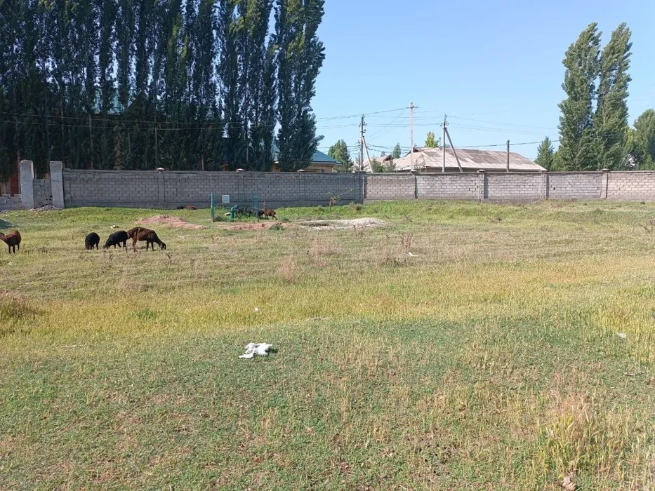 Terreno 7000 m2 ad Andijan, Uzbekistan