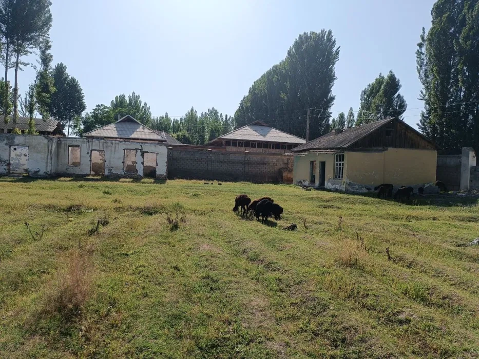 Terreno 7000 m2 ad Andijan, Uzbekistan