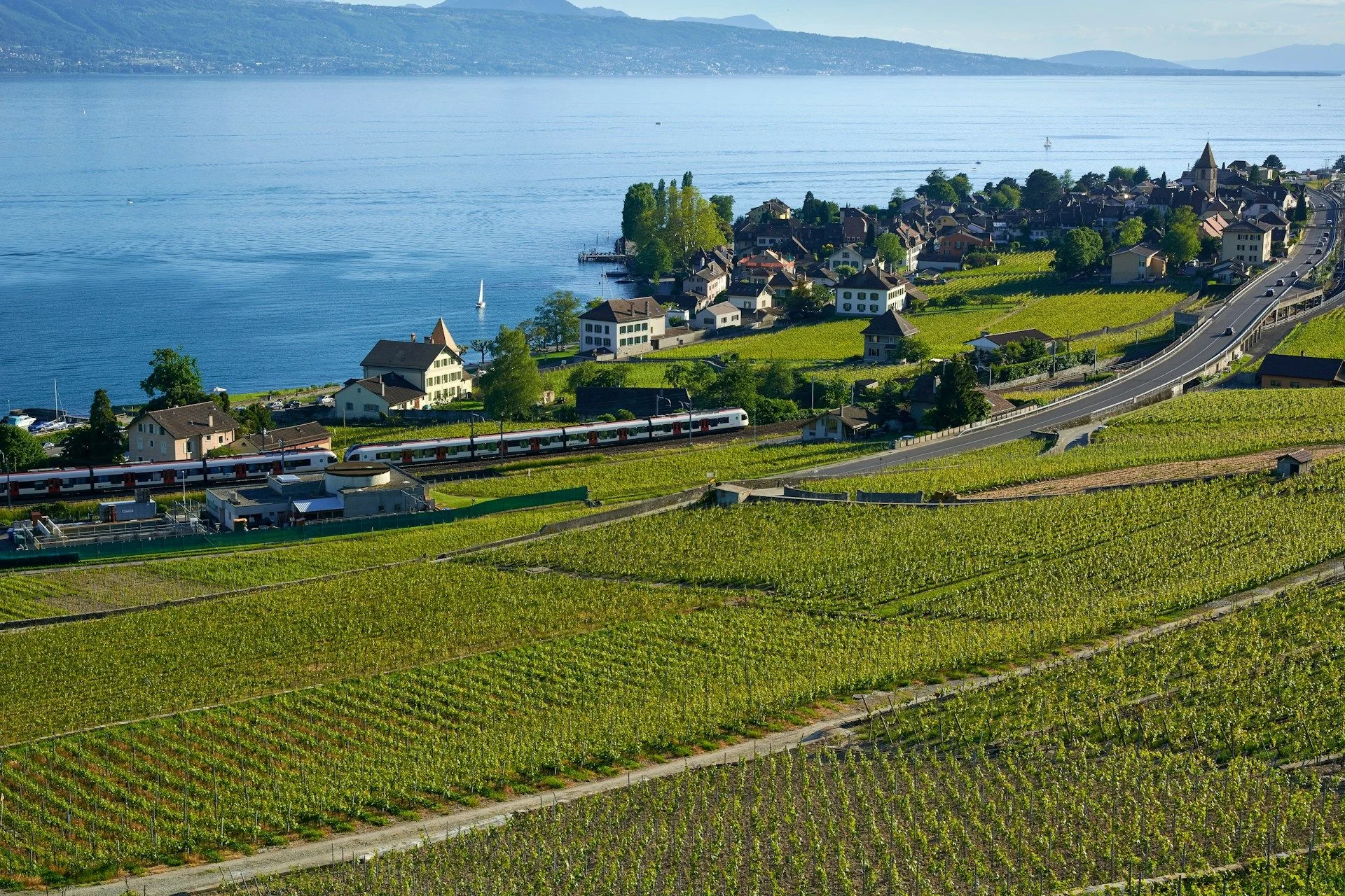 Apply Work Permit in Lausanne - Switzerland Residence | VelesClub Int.