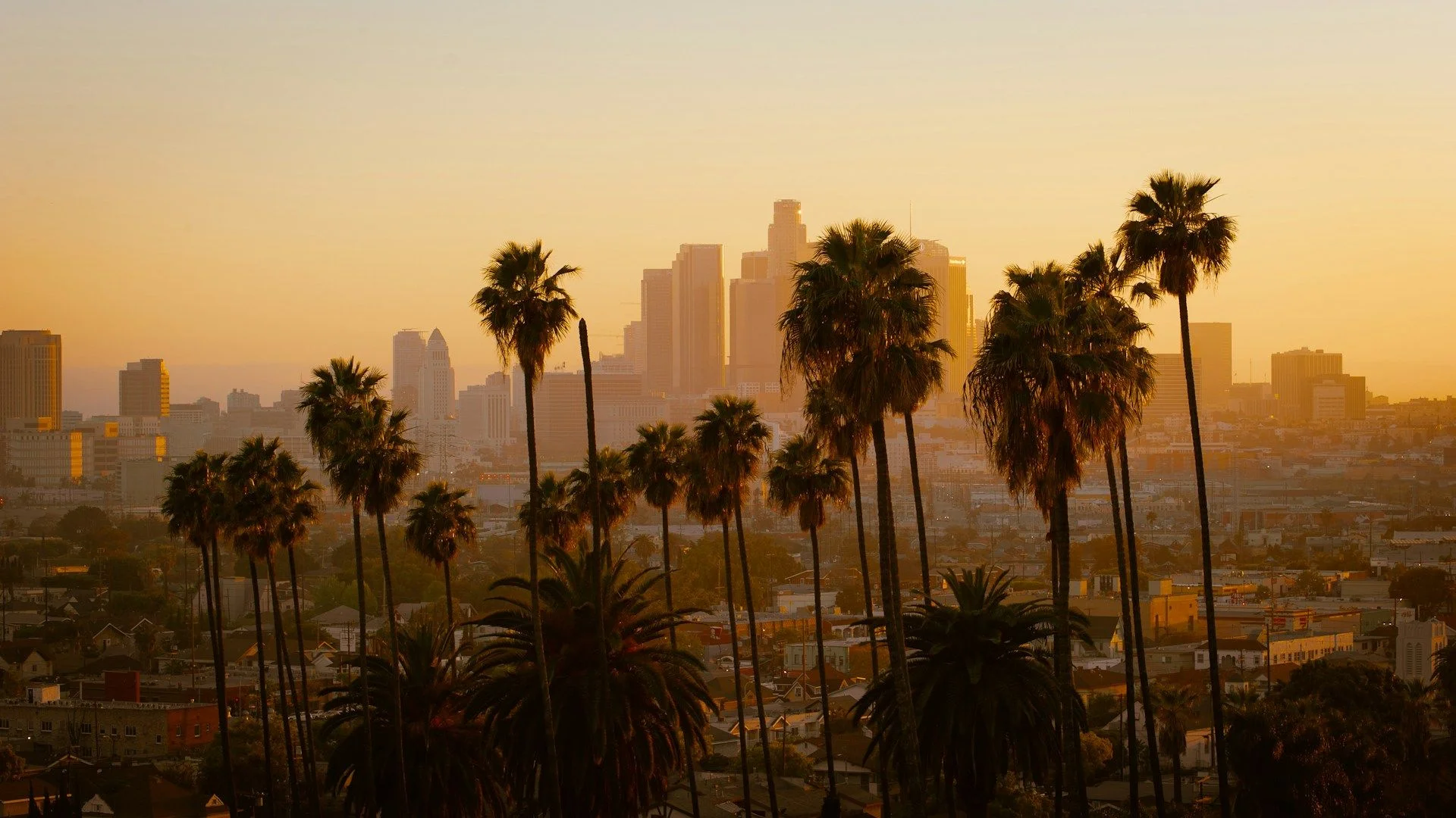 Aconselhamento Intercultural para Expats em Los Angeles – Navegando por Transições Culturais | VelesClub Int.