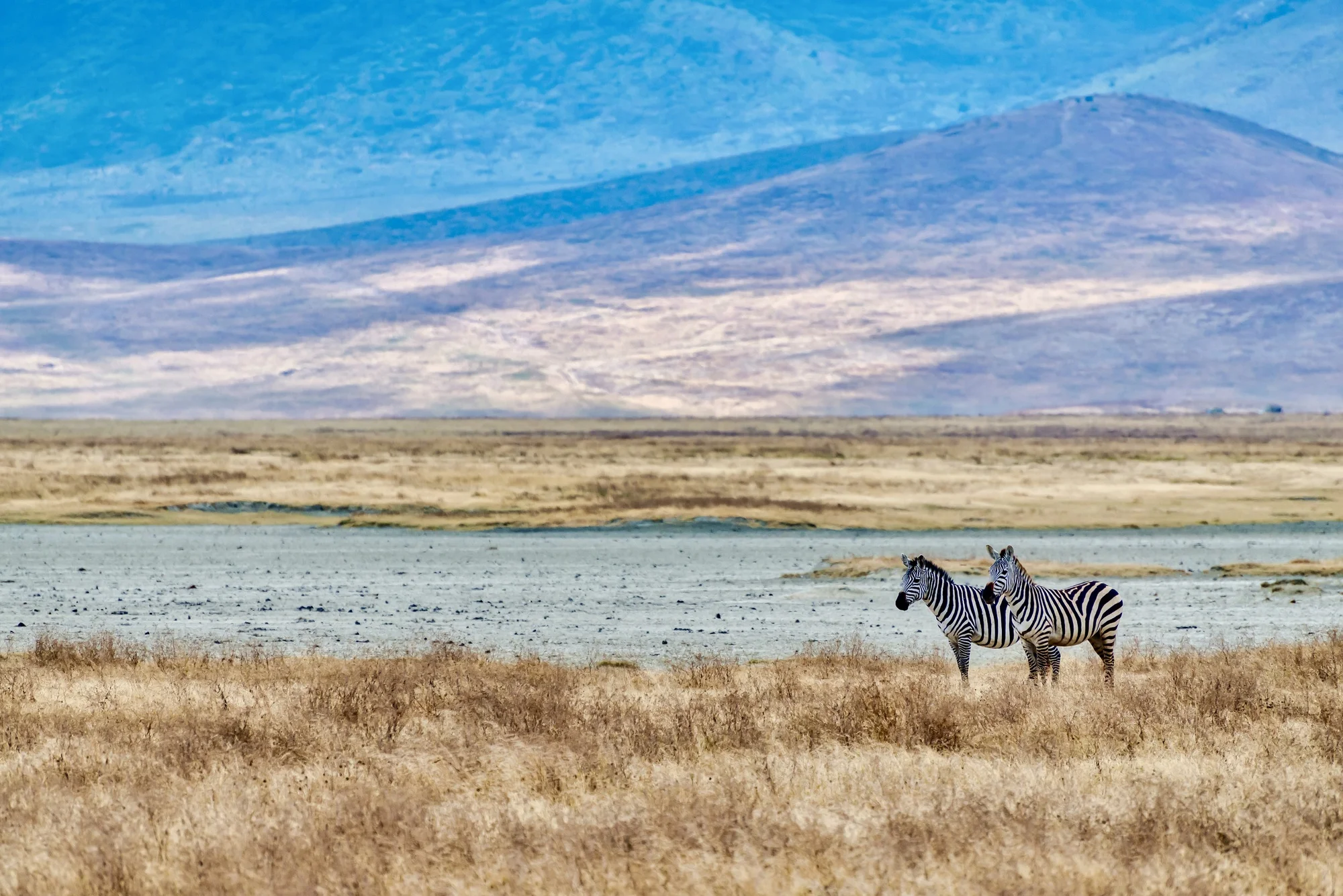 Versteckte Schätze der Maasai Mara – Reisen abseits der üblichen Wege | VelesClub Int.
