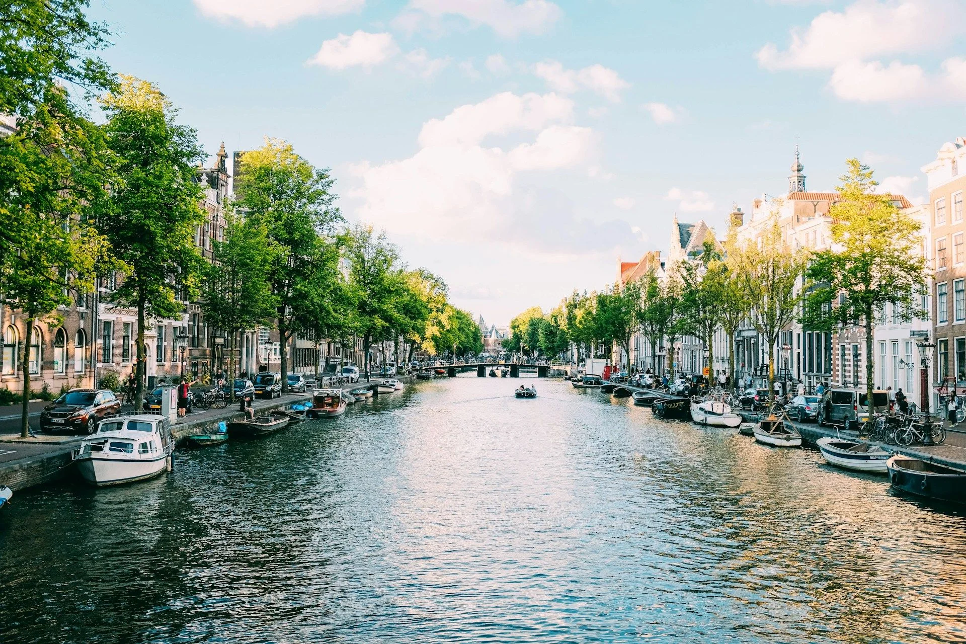 Properties in Netherlands – Rent & Earn | VelesClub Int.