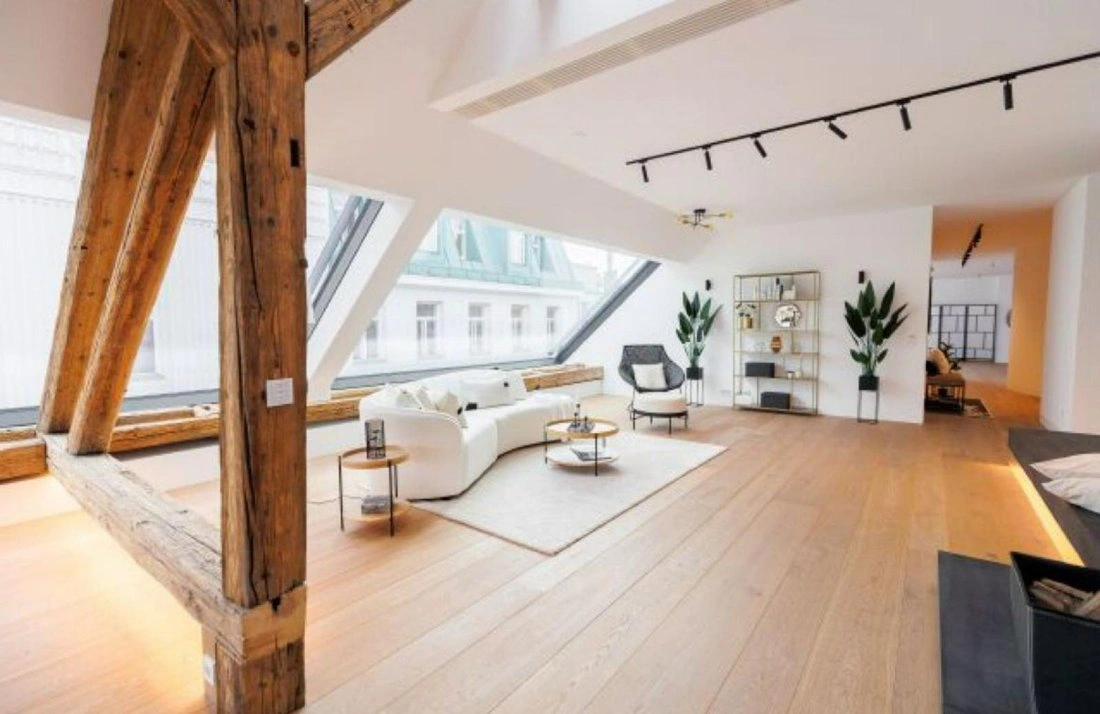 Penthouse 343 m2 in Vienna, Austria
