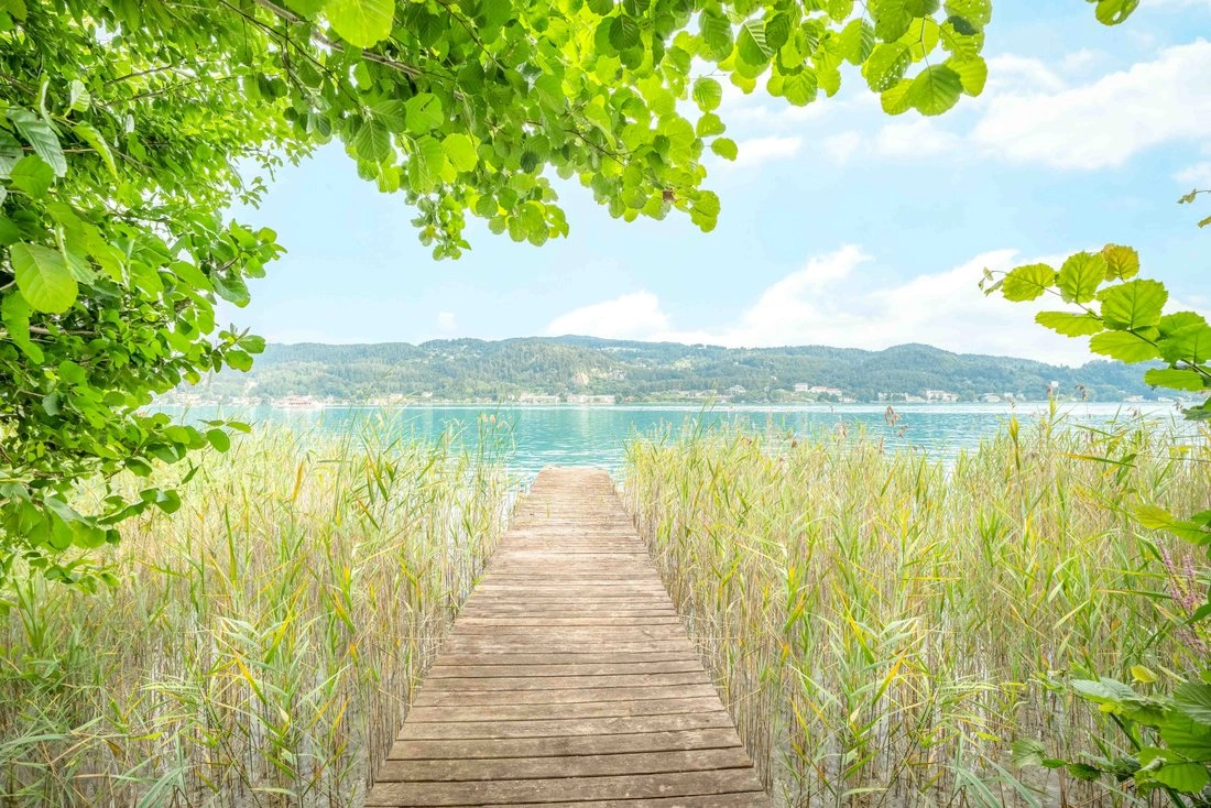 House 250 m2 in Carinthia, Austria