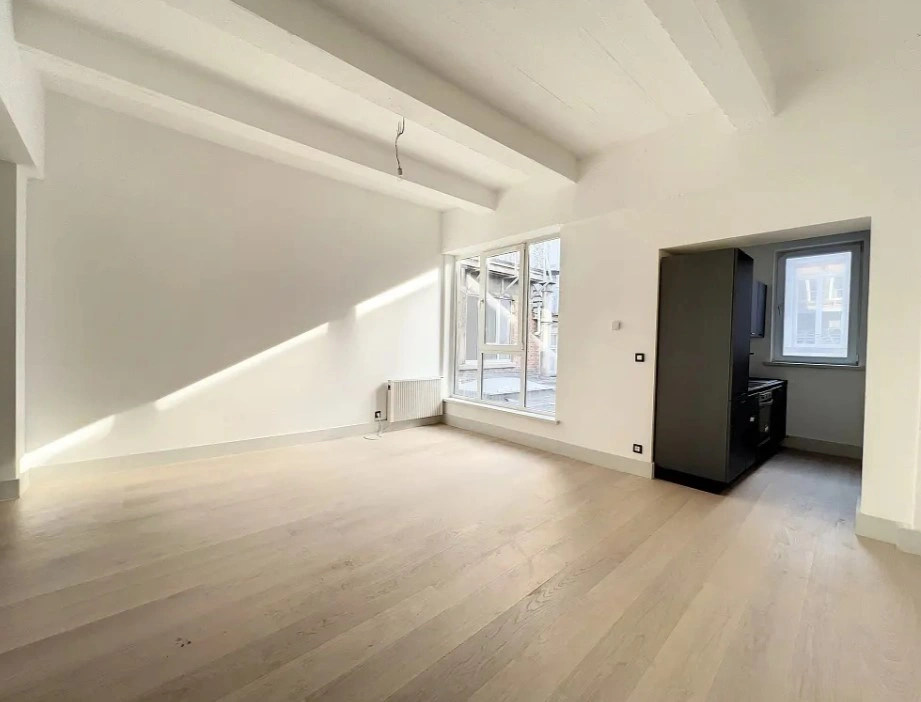 Modern apartment 51 m2 in Liège, Belgium