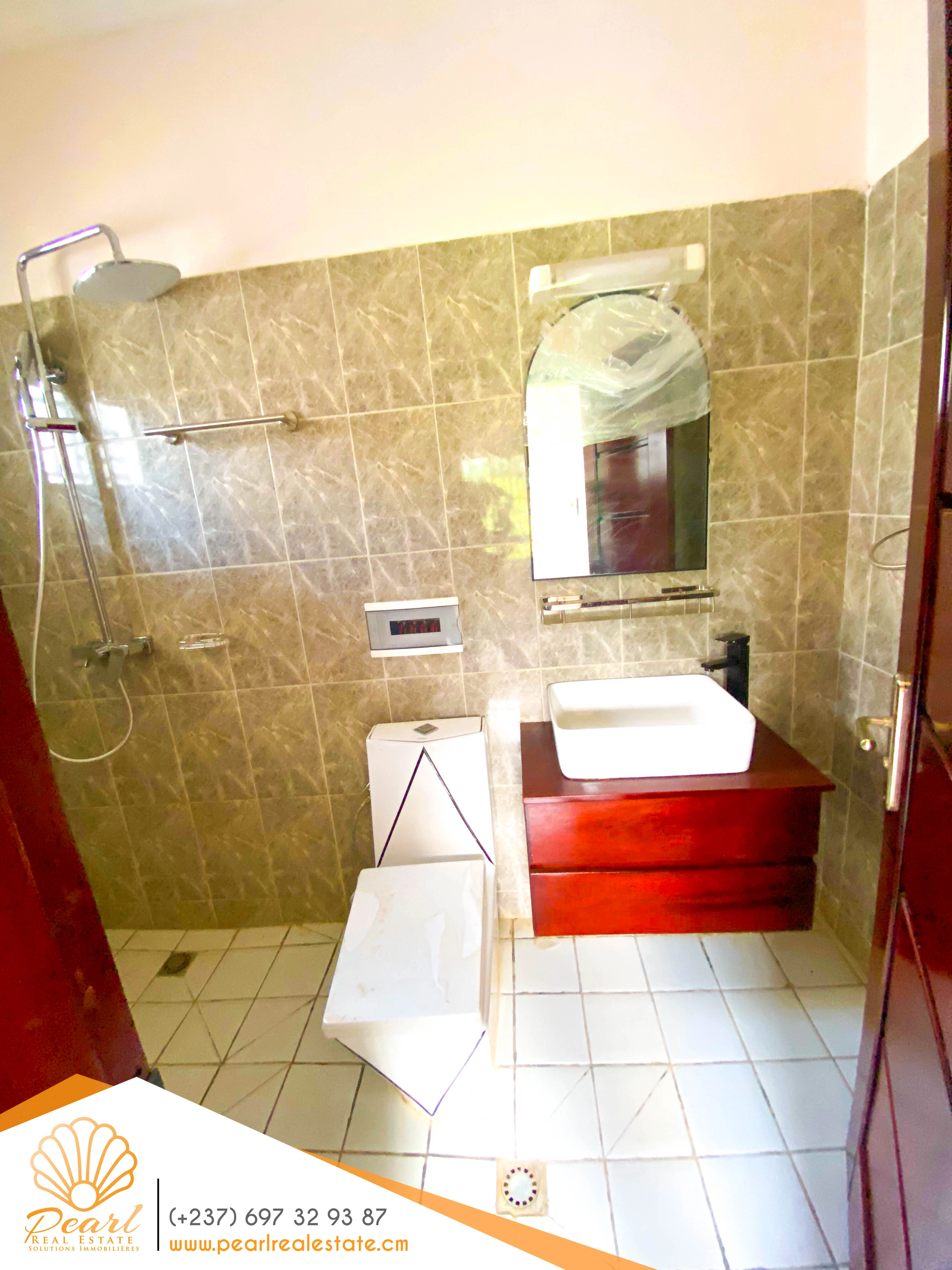 喀麦隆雅温得 4+1 带壁炉住宅