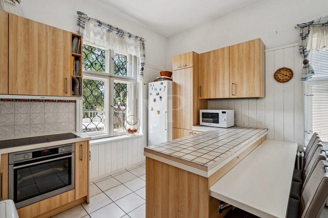 德国柏林 9+1 房,带花园