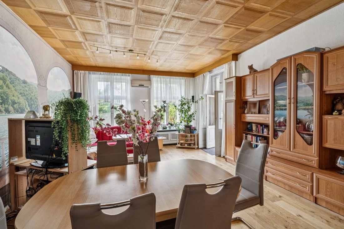 德国柏林 9+1 房,带花园