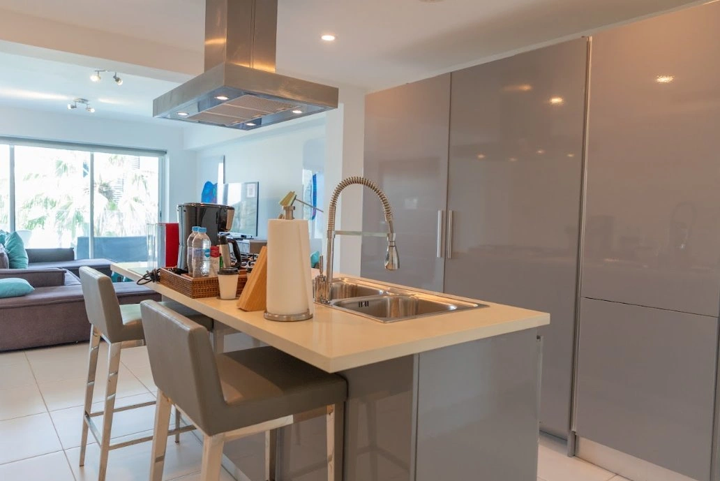 索苏亚(多米尼加共和国)一室一厅带桑拿公寓