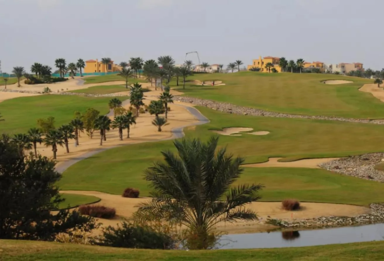 吉萨宽敞三居联排别墅