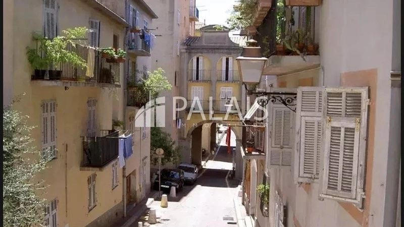 法国尼斯·迷人 1+1 公寓