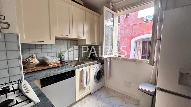 法国尼斯·迷人 1+1 公寓