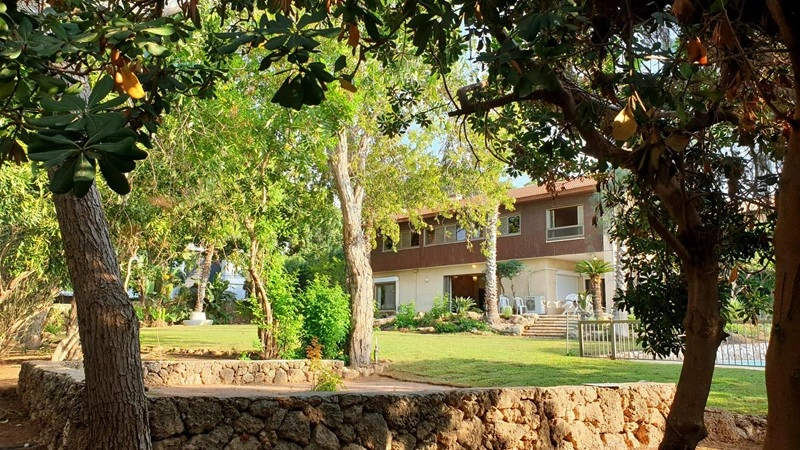 赫兹利亚(以色列)5+1 舒适别墅