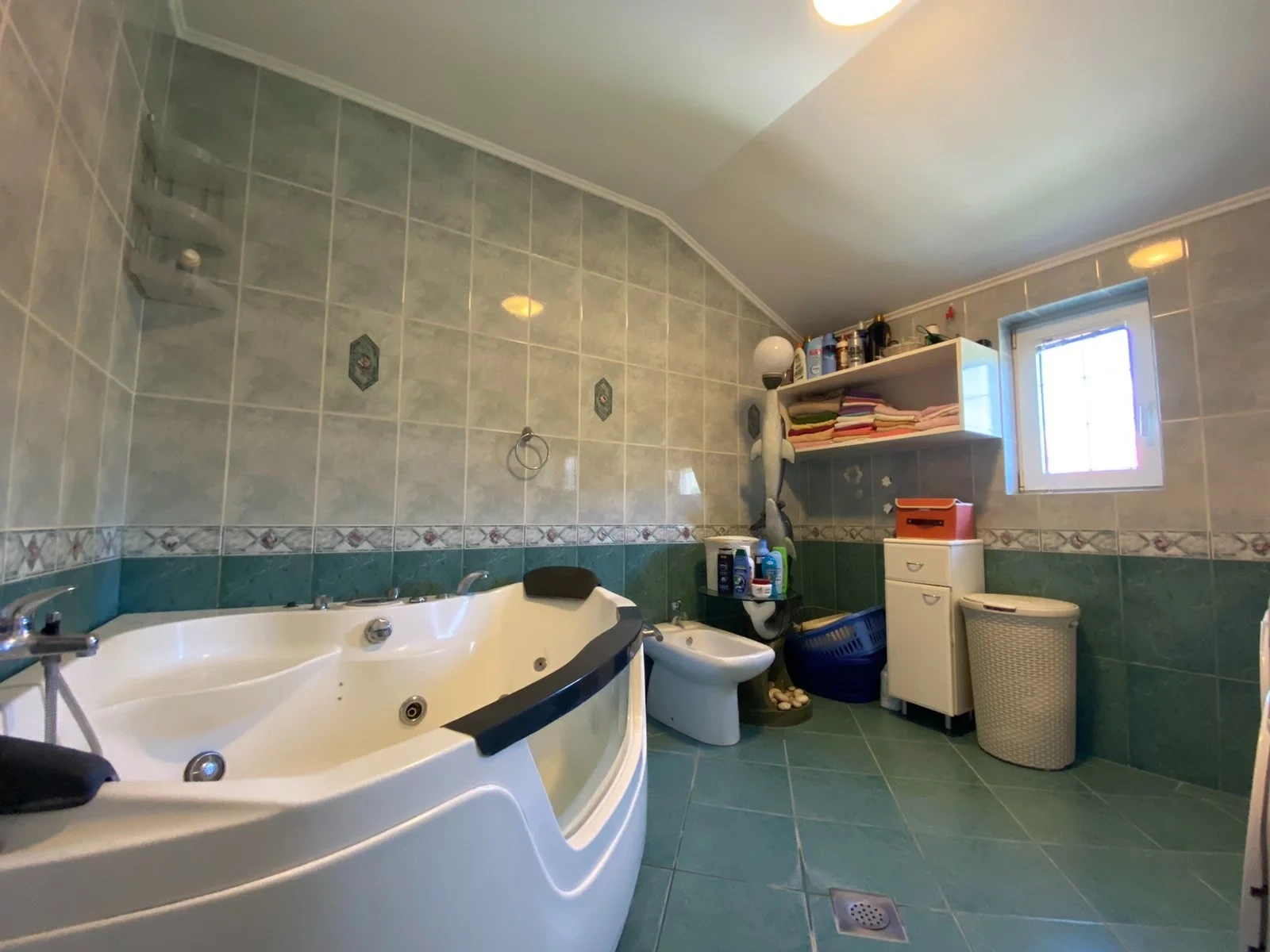 Podgorica, Karadağ — güneş alan 4+1 kır evi