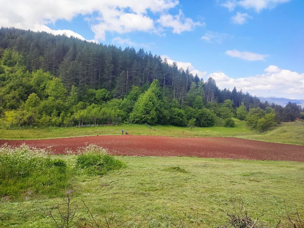 Casa de campo de 76 m² com um grande terreno em Pljevlja, Montenegro