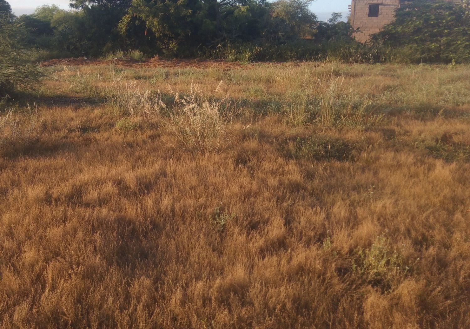 Prospective plot of 6000 m² in Toliara, Madagascar