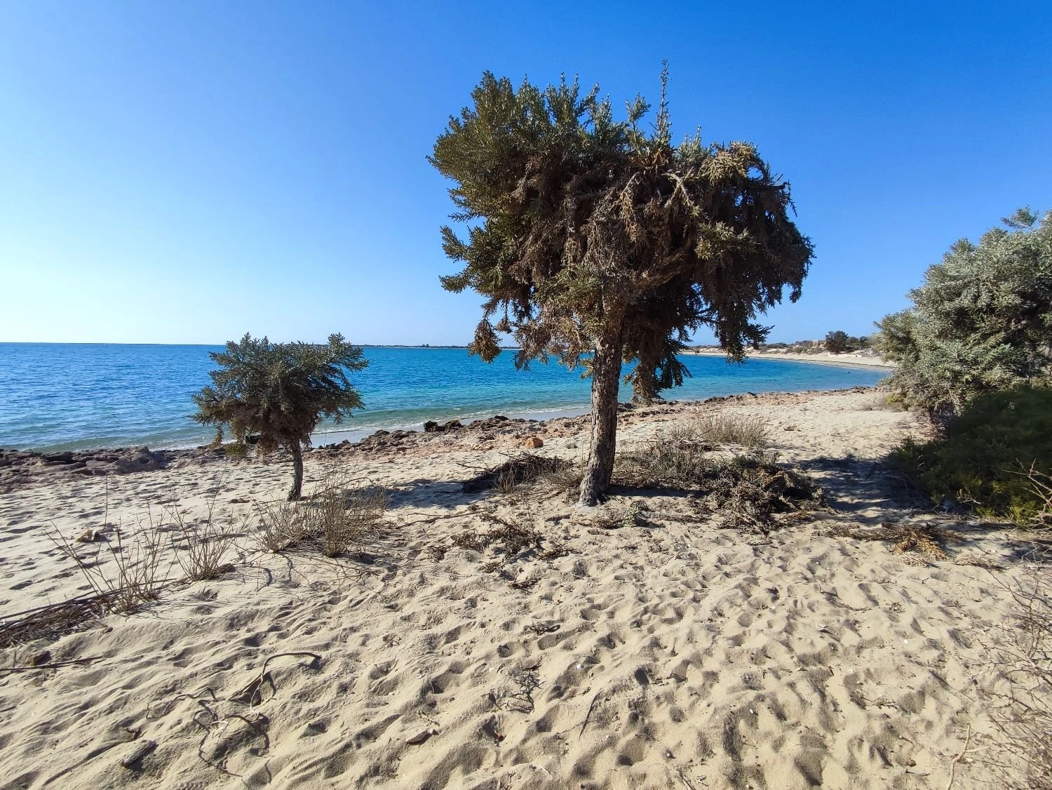 Beautiful plot of 17363 m² in Toliara, Madagascar