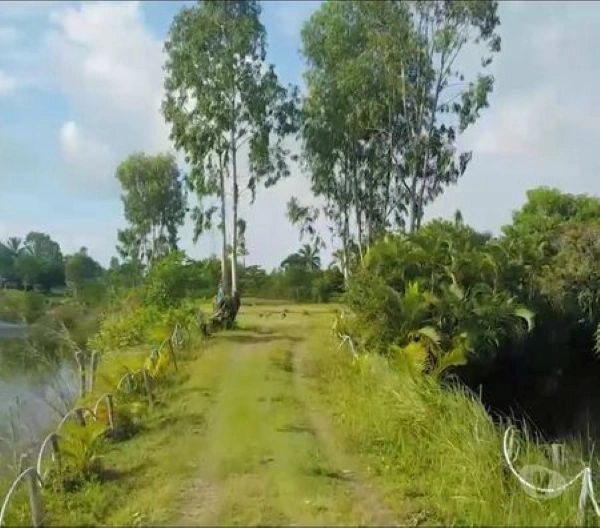 Malerische 44 ha große Halbinsel in Toamasina, Madagaskar
