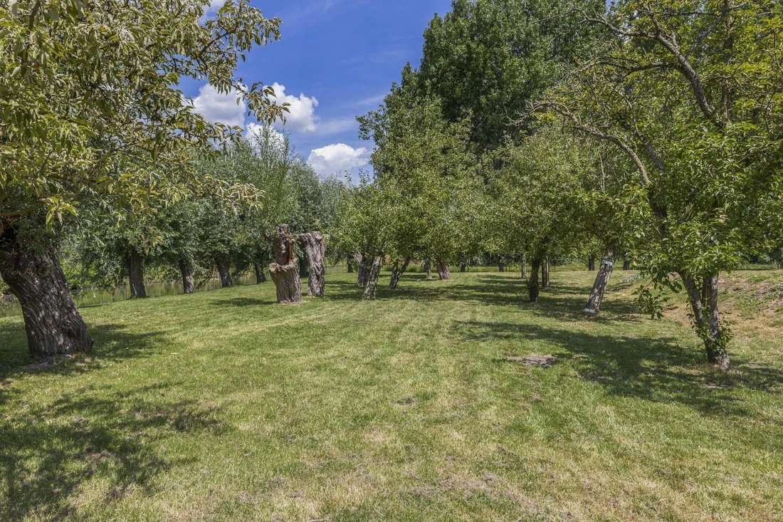 Luxury house 410 m2 in Rotterdam, Netherlands