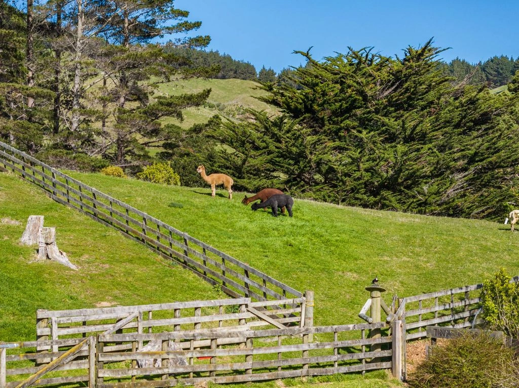 منزل فسيح بمساحة 665 م² في ويلنجتون، نيوزيلندا