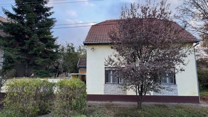 ज़्रेनजानिन, सर्बिया में 180 म² क्षेत्रफल के साथ आरामदायक घर