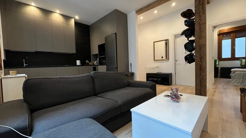 बिलबाओ, स्पेन में लग्जरी 56 मी² का अपार्टमेंट