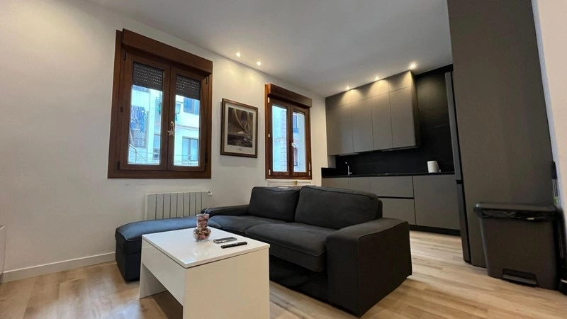 बिलबाओ, स्पेन में लग्जरी 56 मी² का अपार्टमेंट