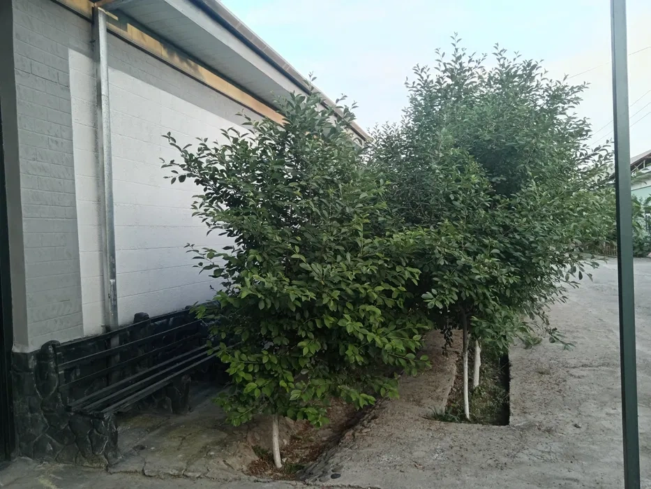 安集延(乌兹别克斯坦)带车位 8+1 住宅