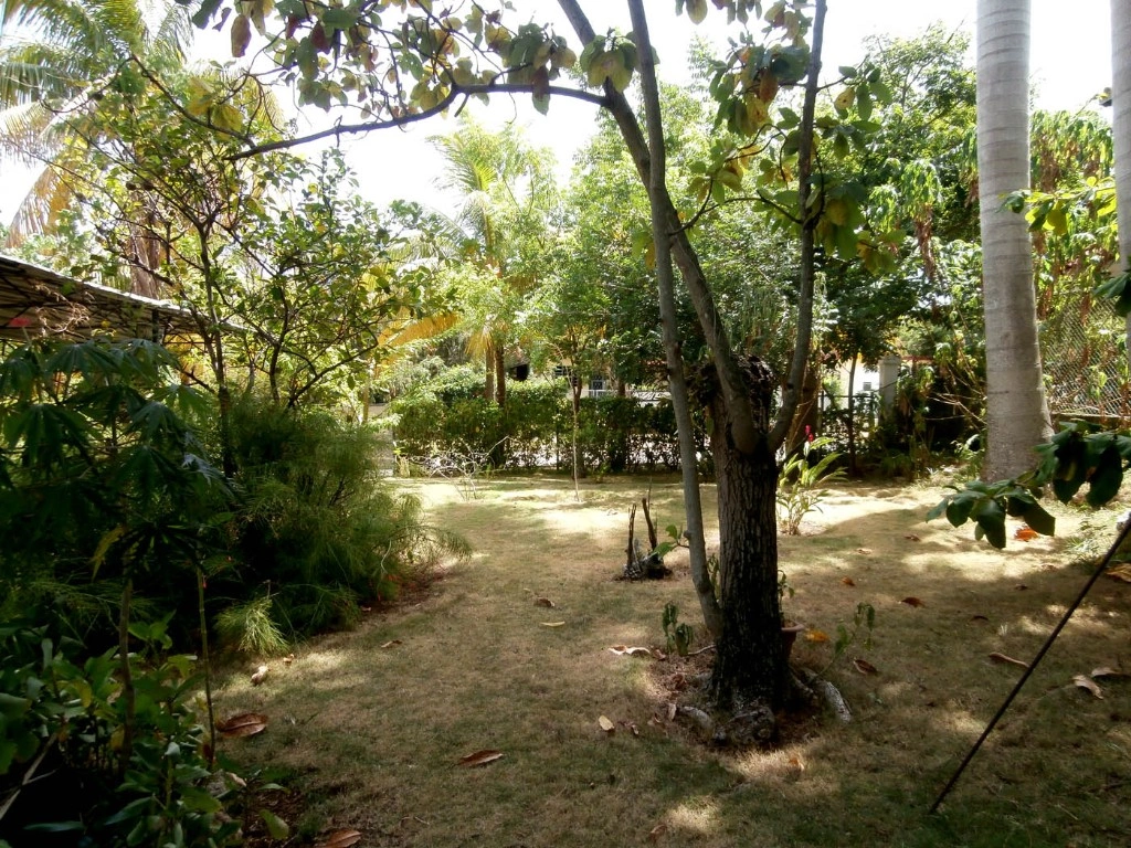 Spacious house 783 m2 in Havana, Cuba