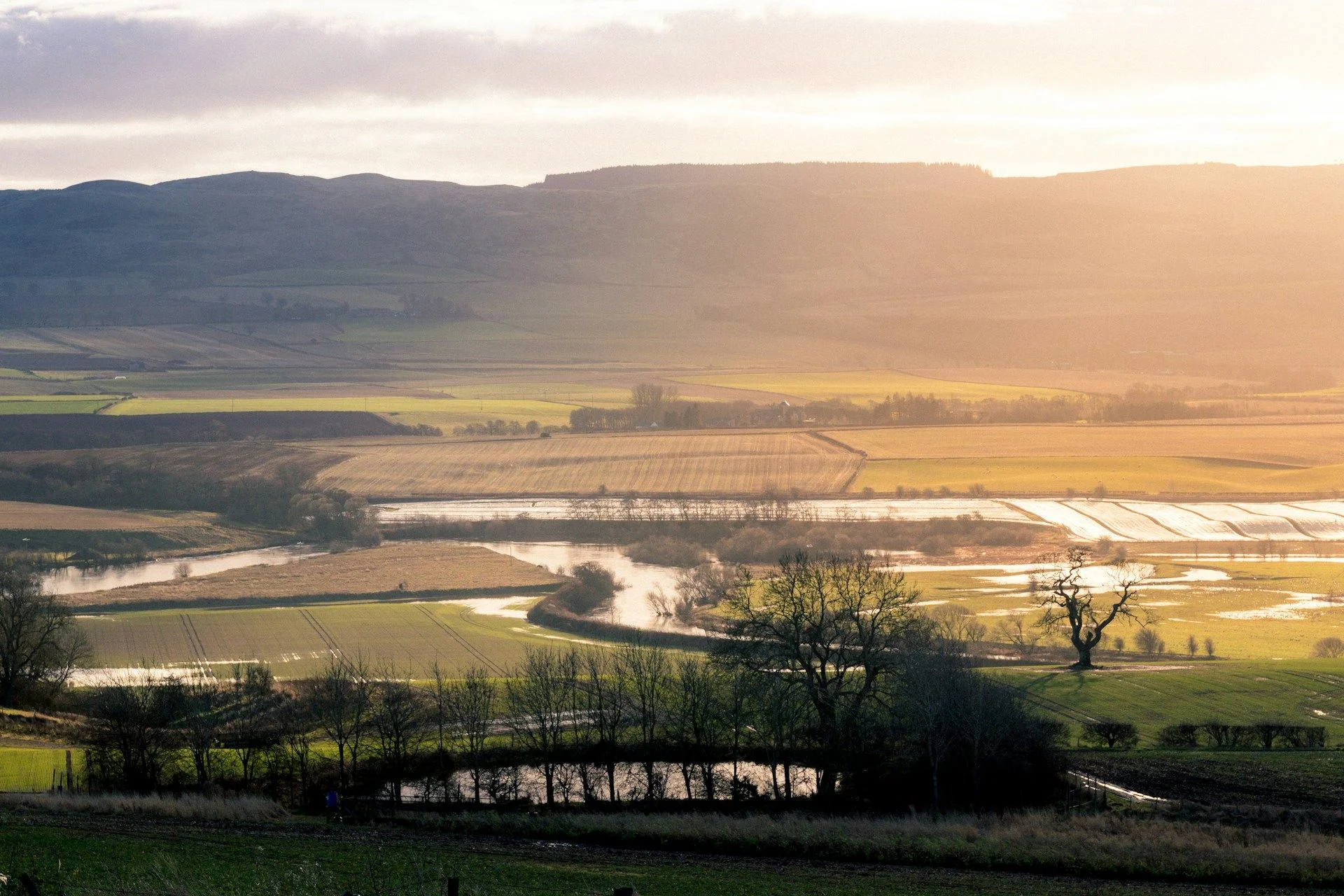 Perth Real Estate for sale - Diversify Your Portfolio | VelesClub Int.