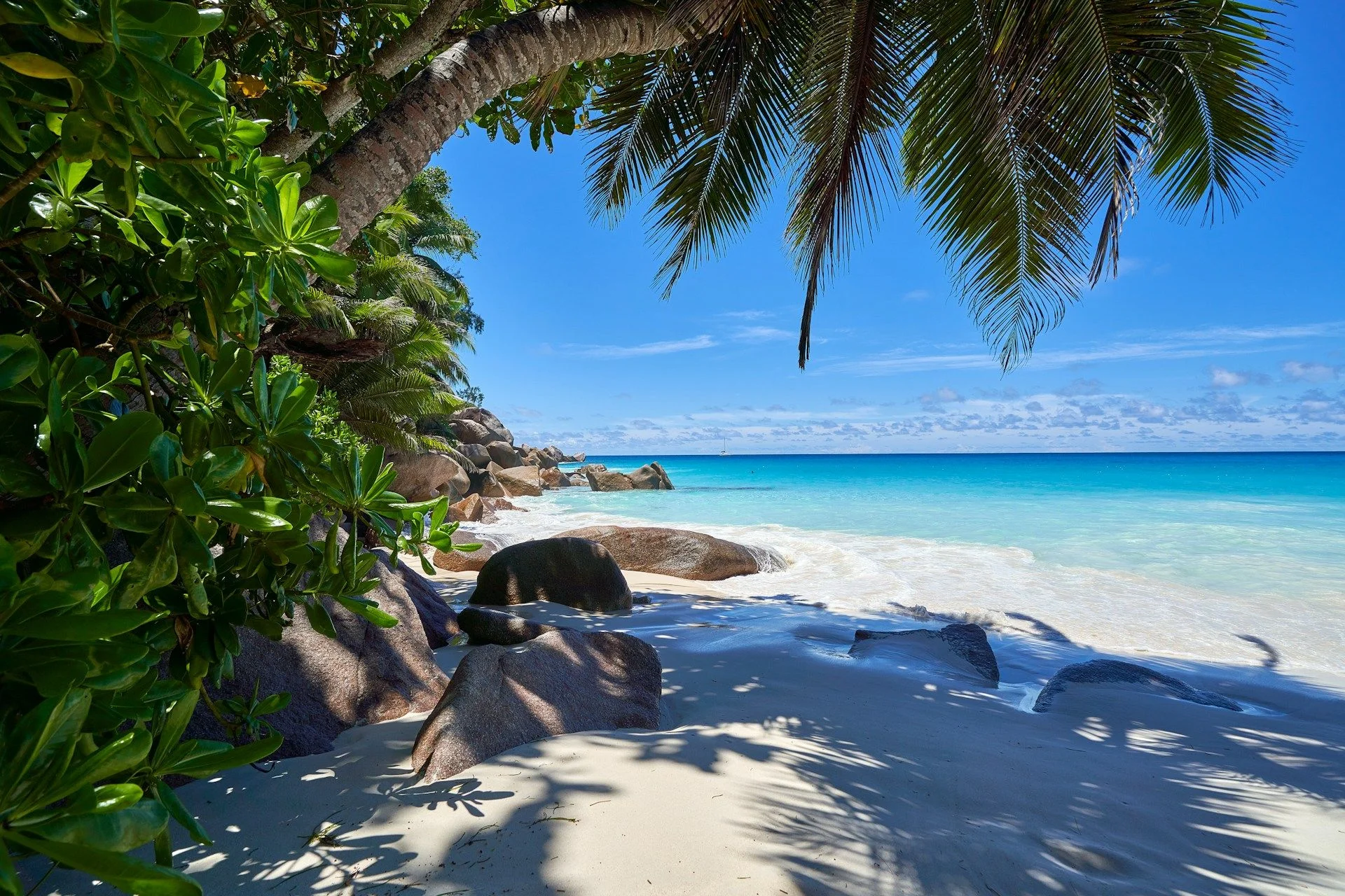 Essenciais para Férias em Praslin – Passeios, Hotéis e Mais | VelesClub Int.