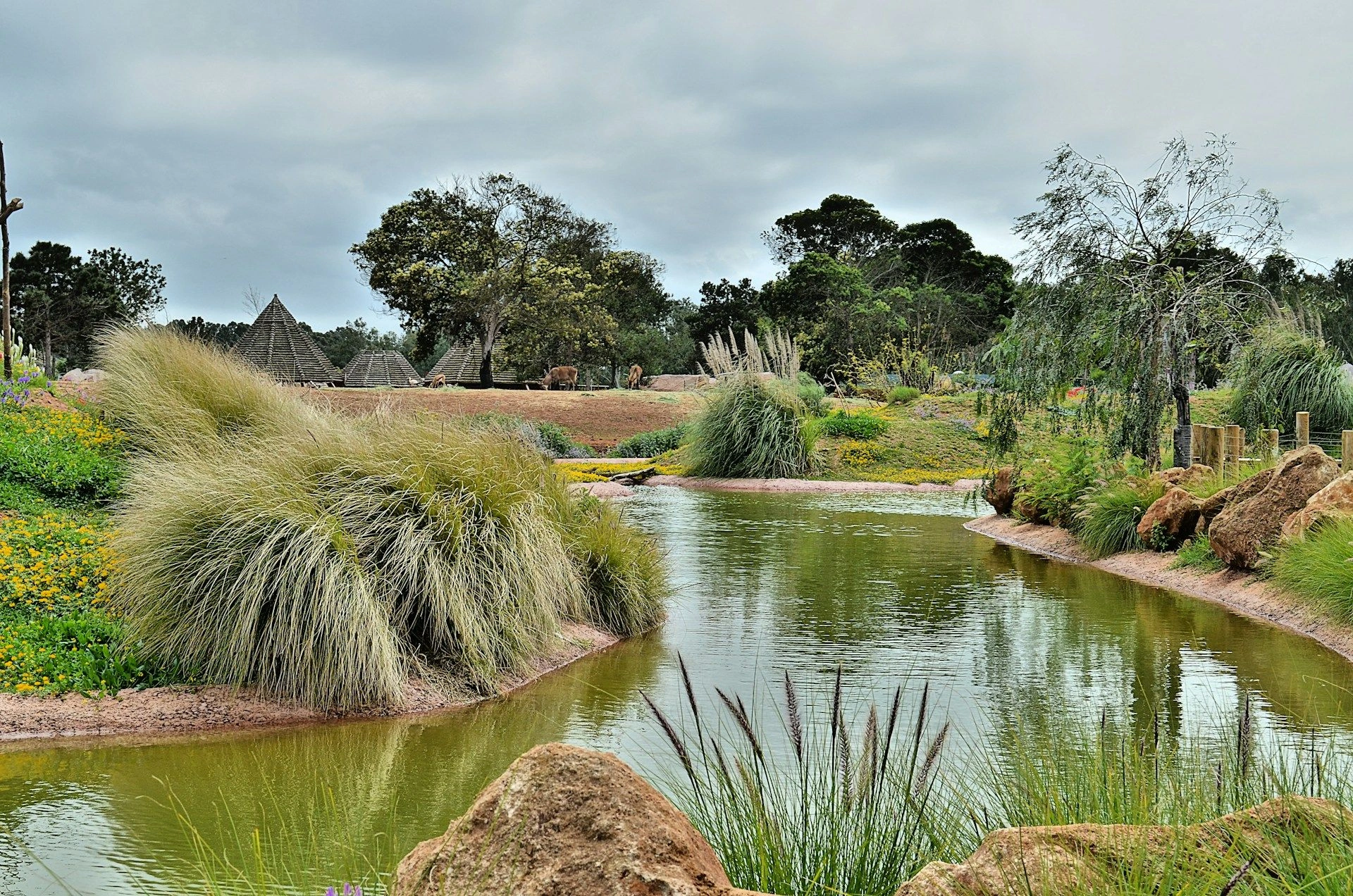 image city تمارا