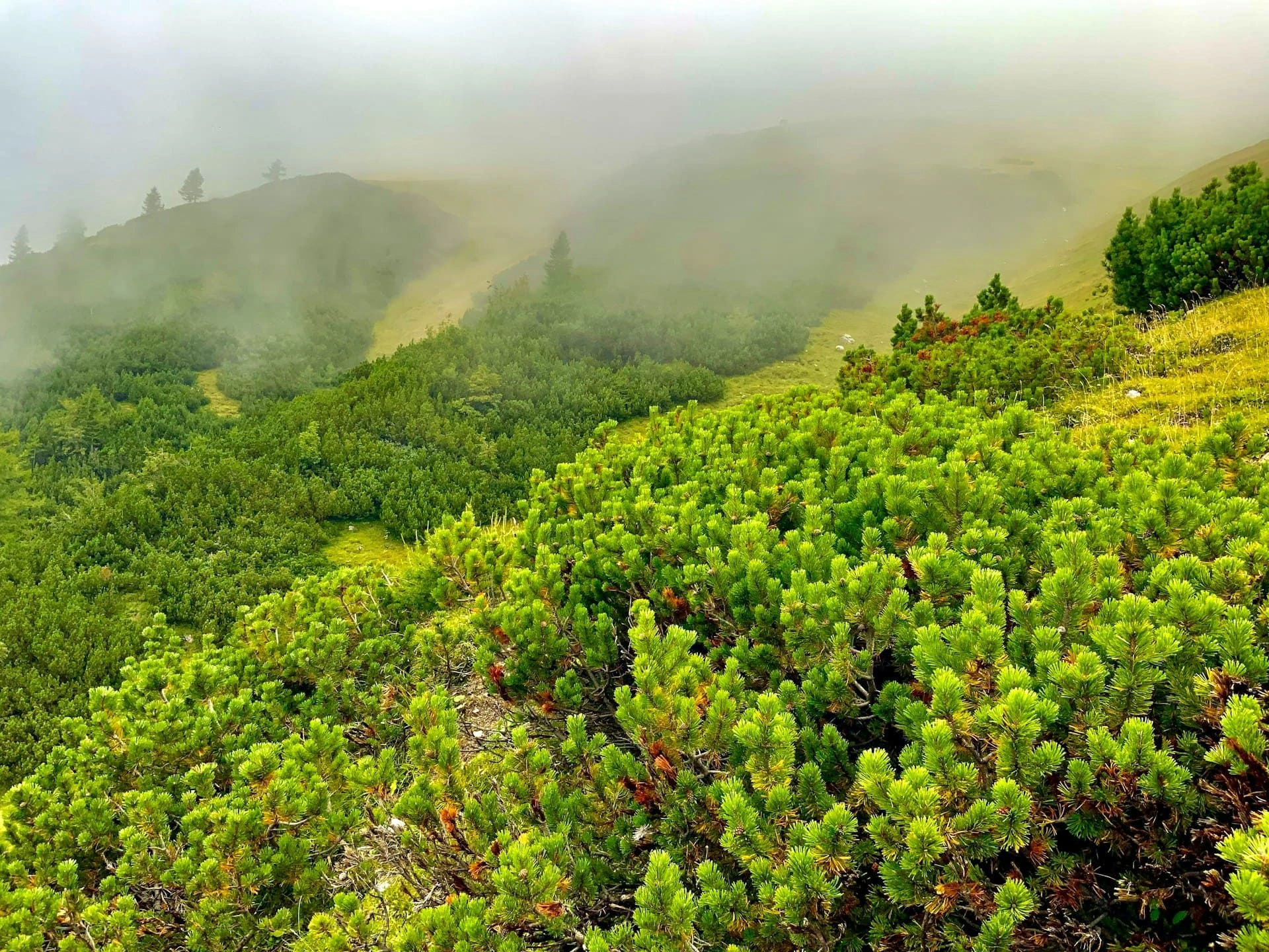 image city Трицен