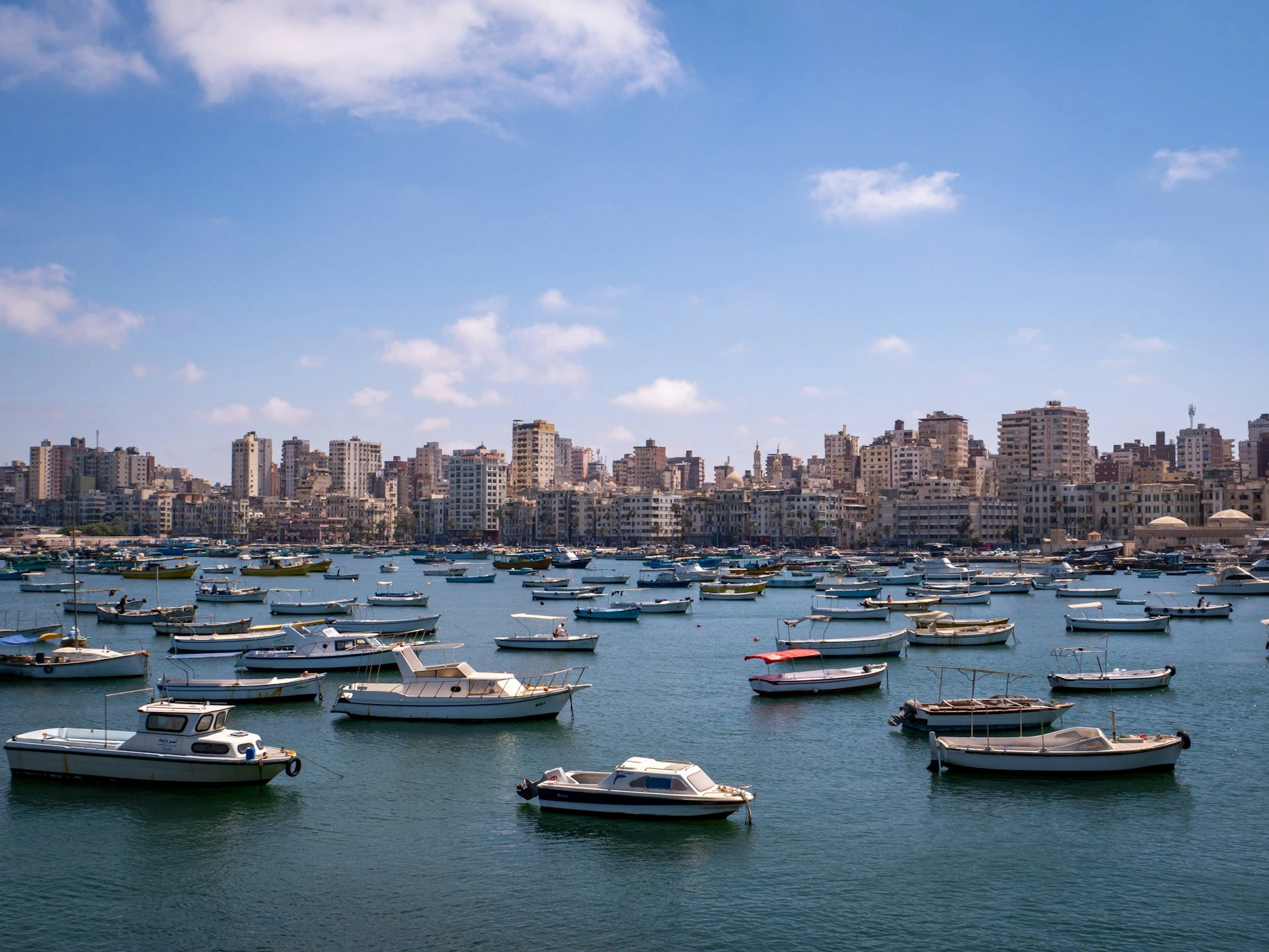 image city Alexandria