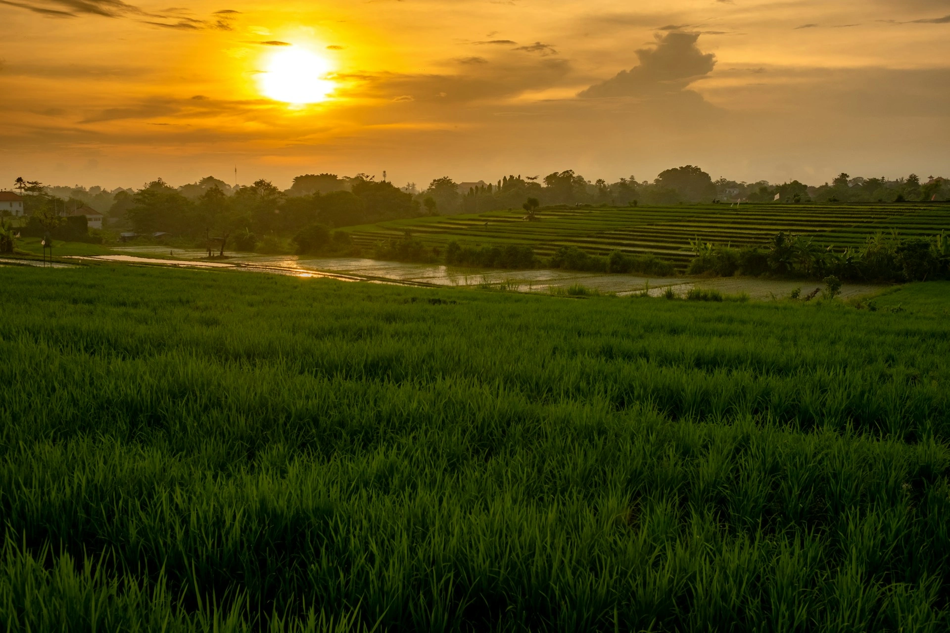image city Regencia de Badung