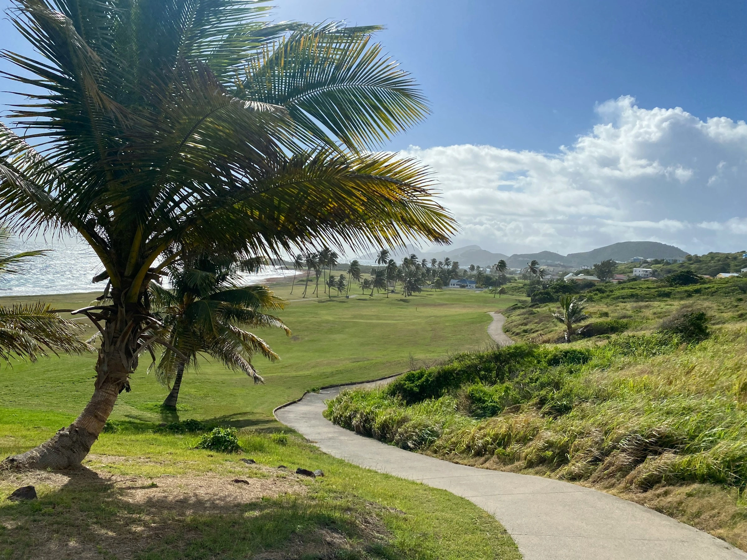 image city Basseterre