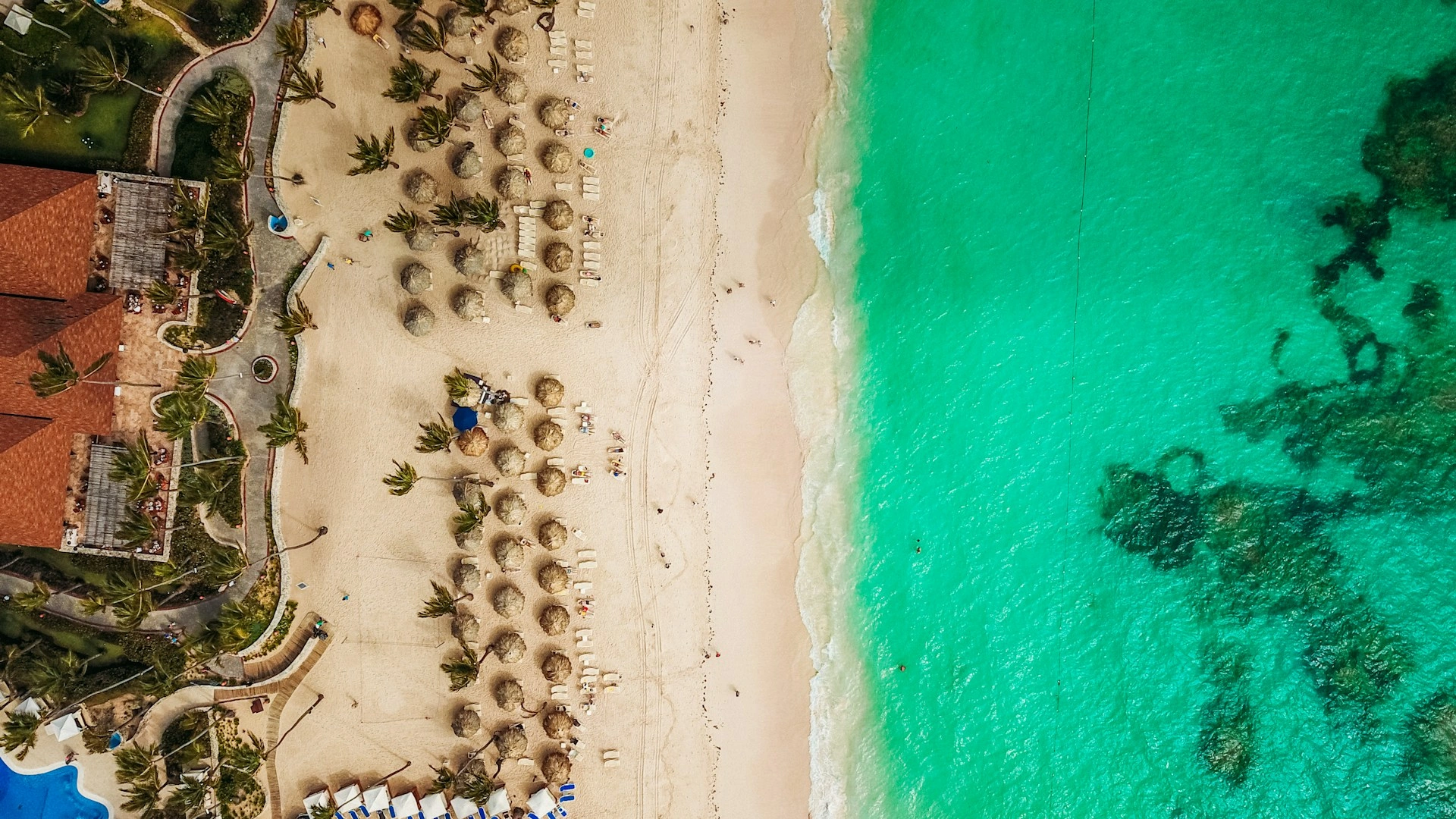 image city Bavaro