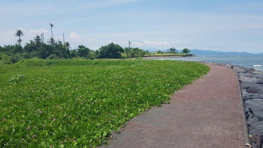 Canggu,巴厘岛(印度尼西亚)可建地