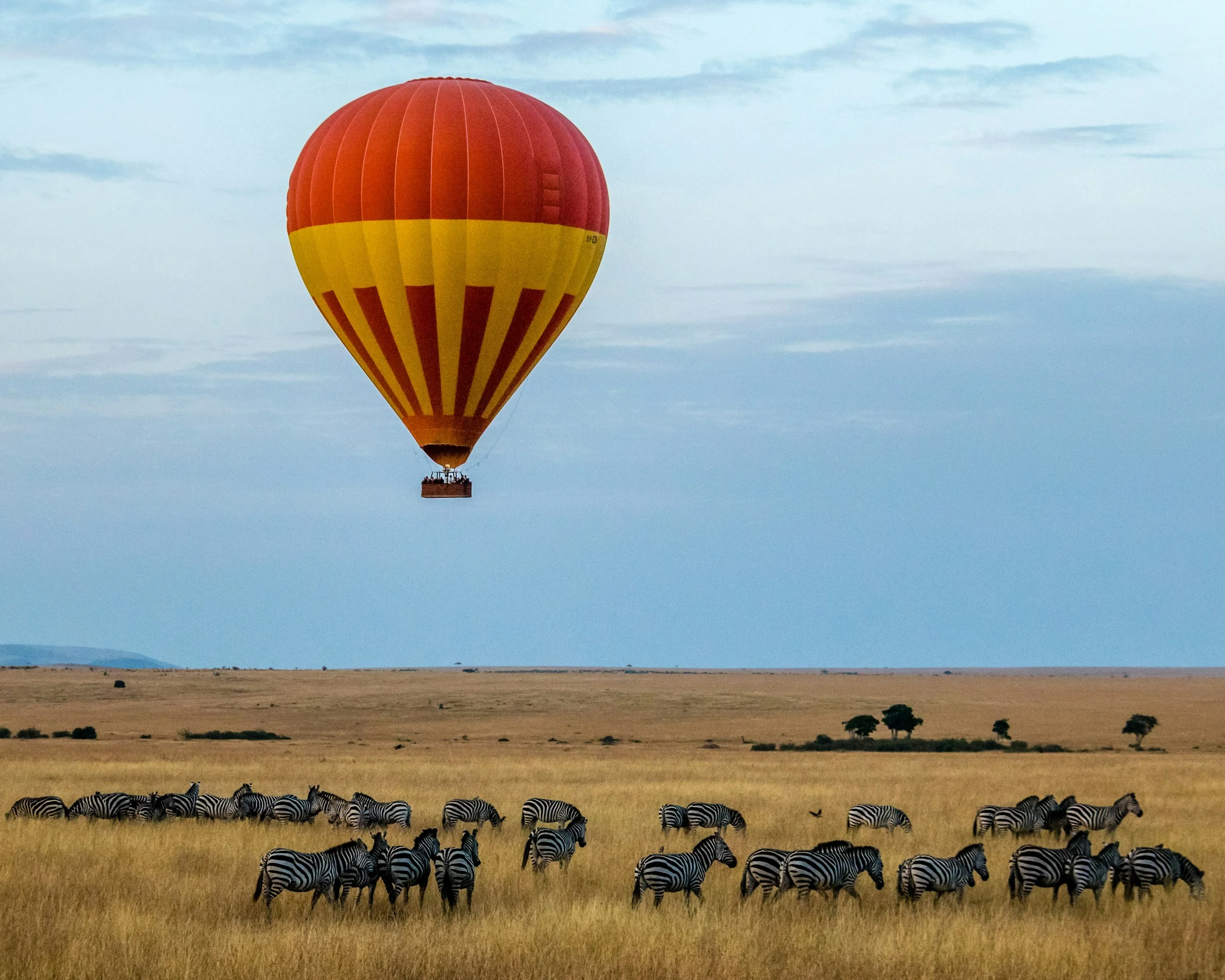 Wohnungsangebote in Maasai Mara – Wiederverkaufskatalog | VelesClub Int.