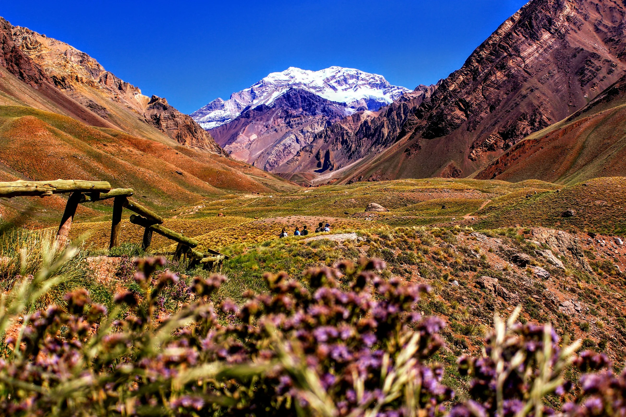 Cross-Border Payments to Mendoza — cross-border settlement paths | VelesClub Int.